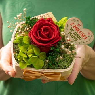  Wieczna, czerwona r�a z mi�o�ci w Dniu Mamy 
