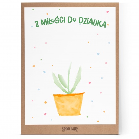 Obrazek "Kwiatek dla dziadka"