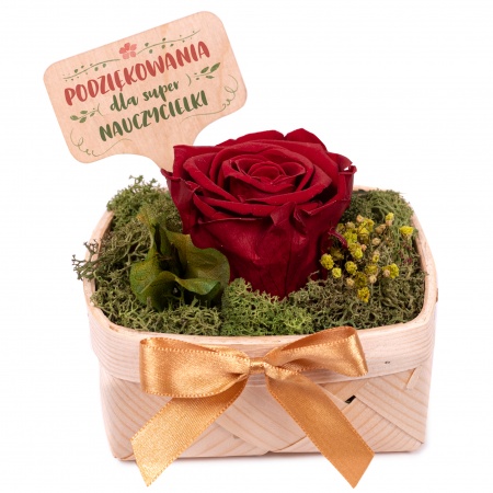 Naturalna, wieczna r�a w prezencie dla nauczycielki